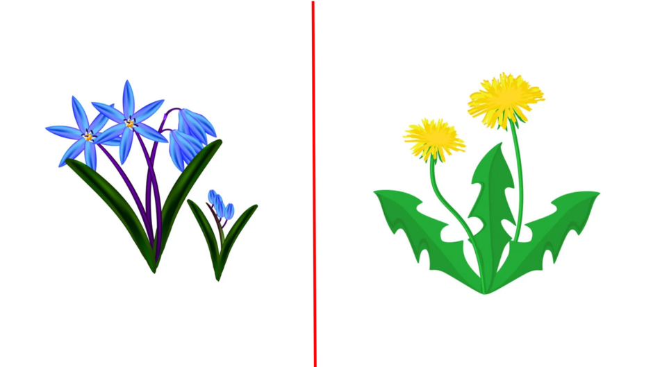 0401ug93-fd35-940x529.png