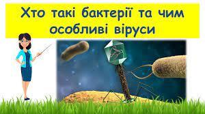 Презентація "Хто такі бактерії та чим особливі віруси"