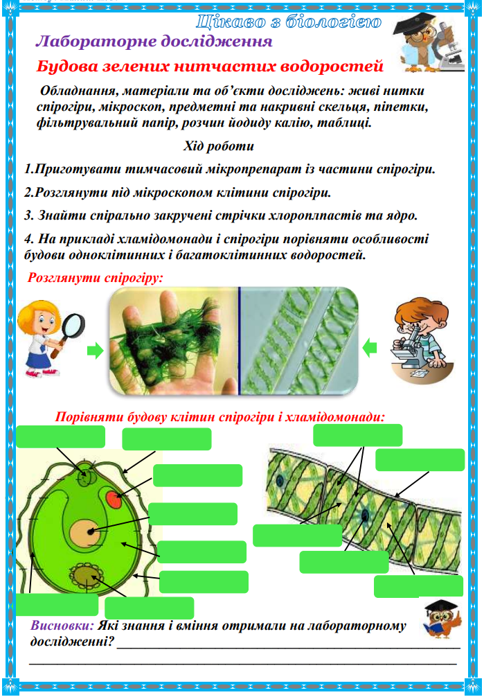 0401ugya-b594-699x1006.png
