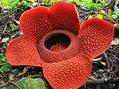 0401uiv5-5fe3-119x89.jpg