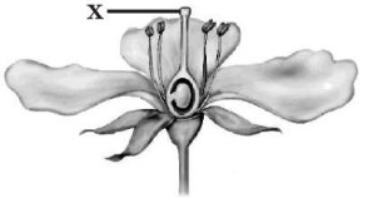 0401ujvj-08b0-375x203.png