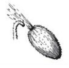 0401uk1r-8a64-142x140.png