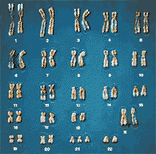 0401ukng-1e88-227x225.gif
