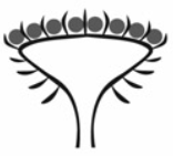 0401ukrb-067e-156x141.png