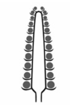 0401uks7-a6c2-143x213.png