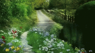 Презентація "The world of nature"