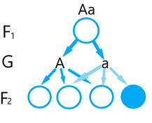 0401ulc0-4072-217x177.png