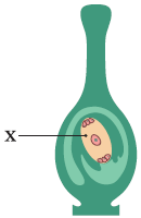 0401uop9-06c6-130x200.png