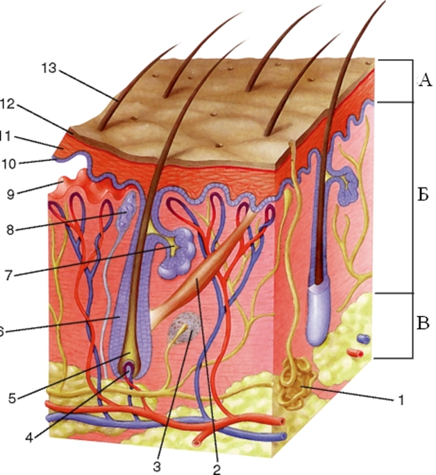 0401uoqq-844c-628x684.png