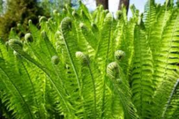 0401upi4-74f7-179x119.png