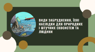 Презентація на тему "Види забруднення, їхні наслідки для природних і штучних екосистем та людини", 11 клас