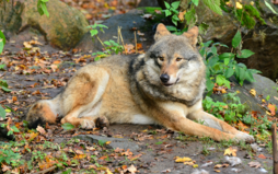 0401us8e-1376-254x159.png