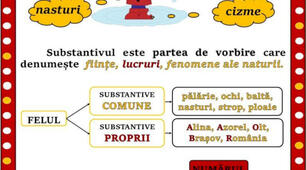 Substantivul