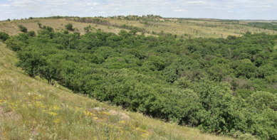 0401uu1q-6615-389x197.png