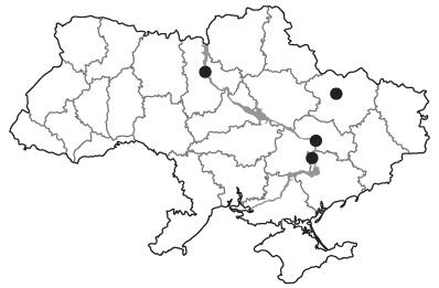 0401uu4y-4f24-398x261.jpg