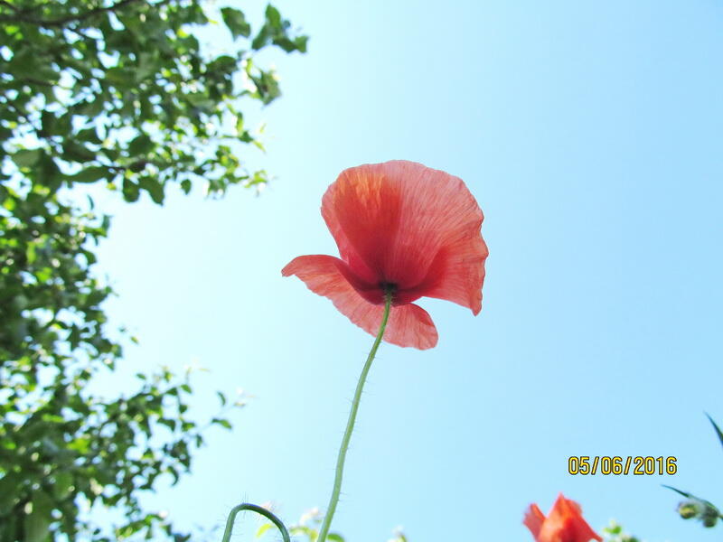 0401uufc-108c-800x600.jpg