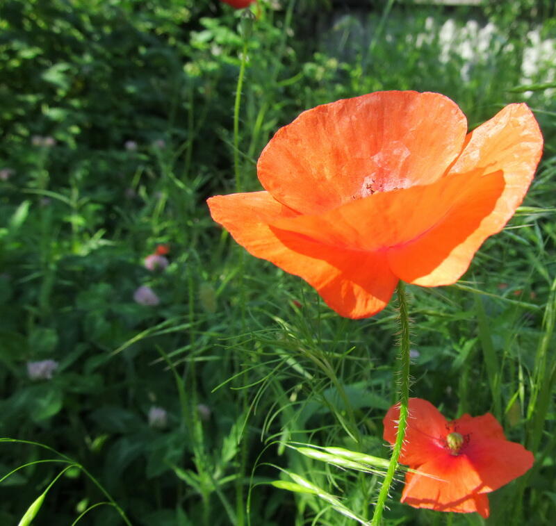 0401uufh-0219-800x757.jpg
