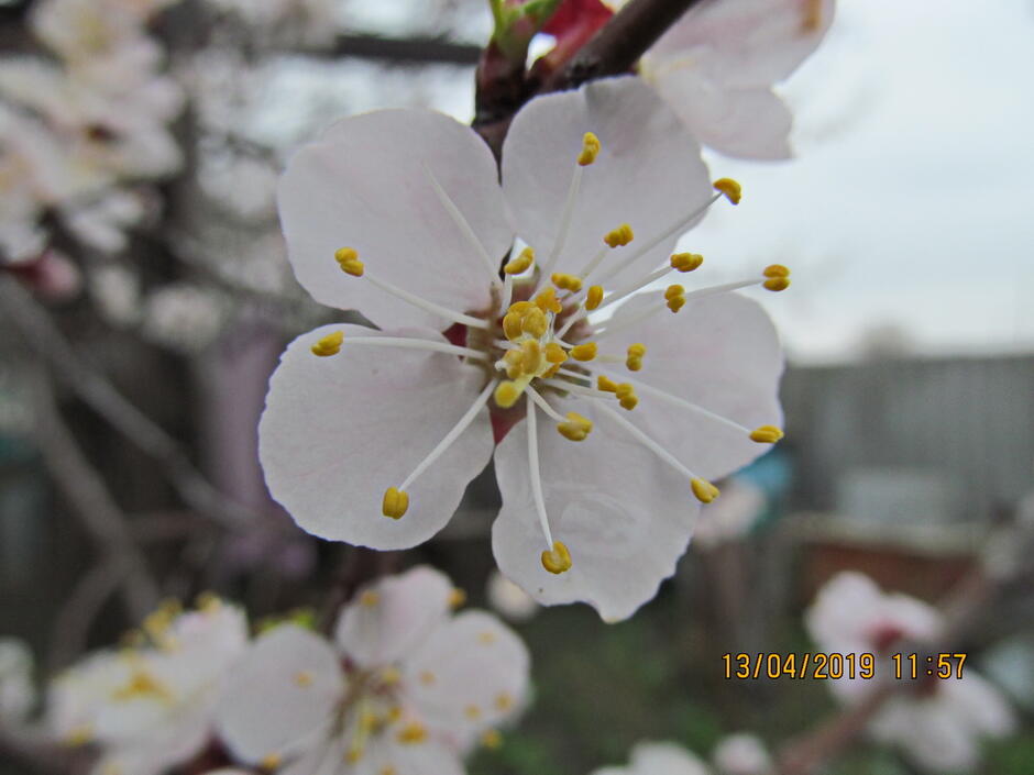 0401uufj-f76b-940x705.jpg