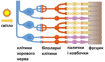 0401uuuu-8ed5-432x255.png