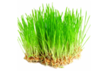 0401uv5x-3cd1-152x101.png