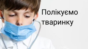 Заняття "Полікуємо тваринку" для малюків