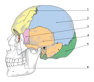 0401uvvp-54e6-375x327.png