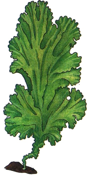 0401uy90-94da-281x567.png