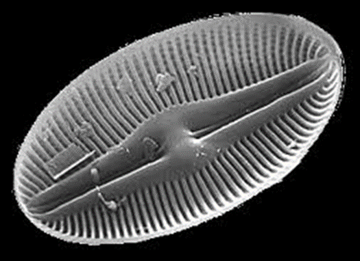 0401uybj-2a68-525x382.png