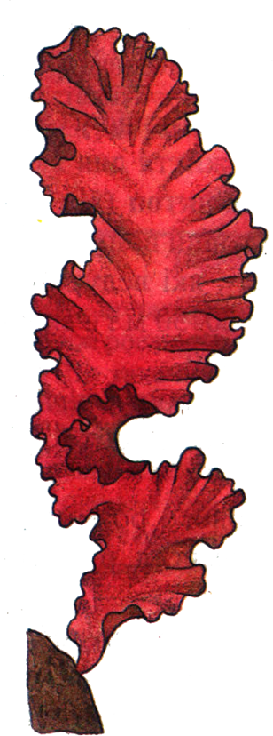0401uybu-f459-308x828.png