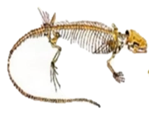 0401v05k-9550-210x167.png