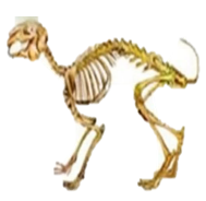 0401v071-6e6a-189x184.png