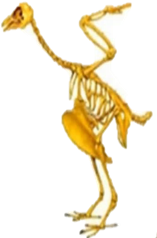0401v07y-e80a-157x238.png