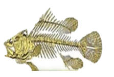 0401v08v-723d-223x152.png