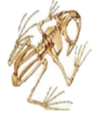 0401v0a1-9611-140x161.png