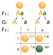 0401v0b0-16b1-209x218.png