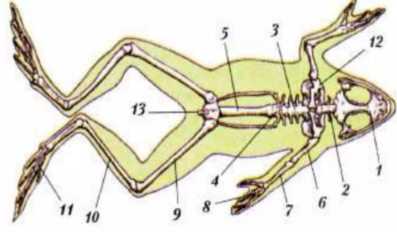 0401v0eo-5894-397x232.png