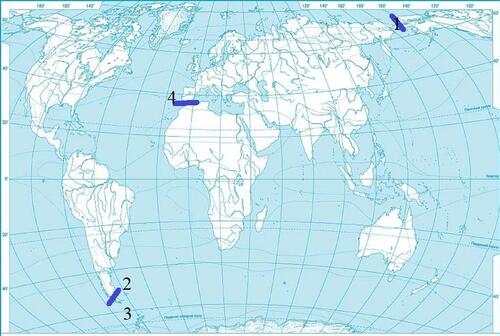 0401v1zn-8883-500x336.jpg