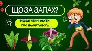 Презентація на тему "Аморфофалус тітанум" Незбагненні факти про науку та Бога