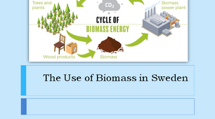 Презентація на тему "Biomass"