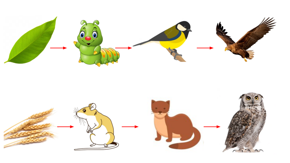 0401v6dv-043a-940x529.png