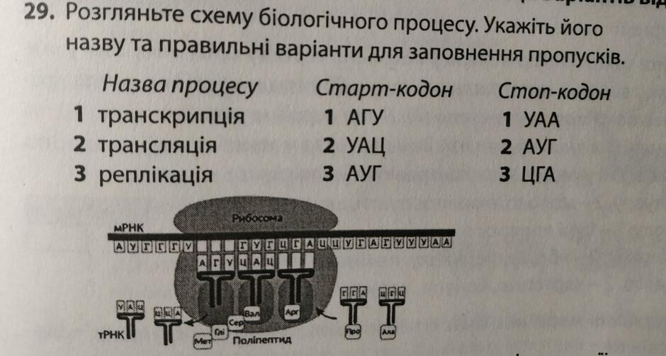 0401v87y-acf1-940x503.jpg