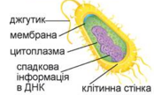0401vd50-ae9a-174x108.png