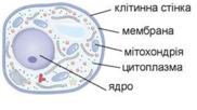 0401vd5m-cafd-182x102.png