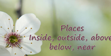 Презентація 