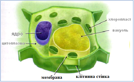 0401vhch-5749-454x278.bmp