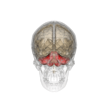 0401vi2y-9424-221x221.gif