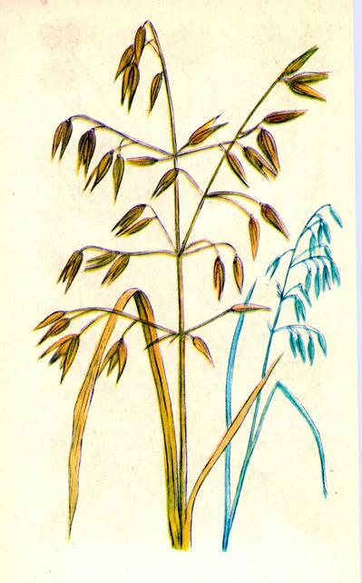 0401vm21-82e7-399x642.jpg