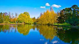 Англійська мова. "London Parks"