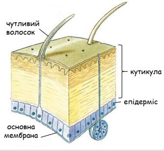 0401vmm3-1fc0-333x307.png