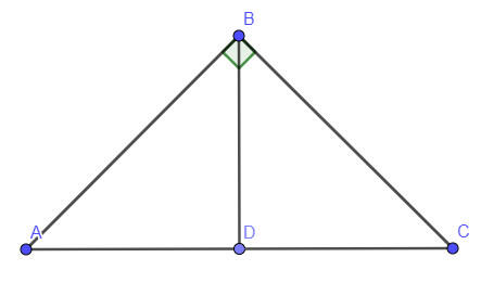 0401vn5v-c7c4-443x261.jpg